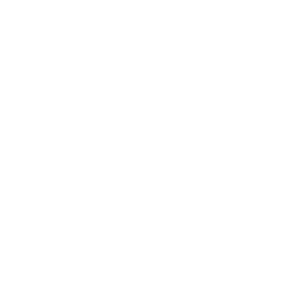 issue icon